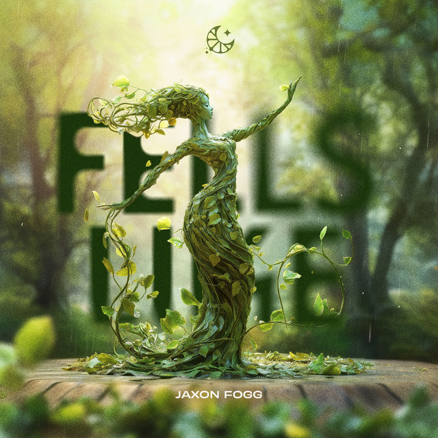 'Feels Like (Extended Mix)' cover art