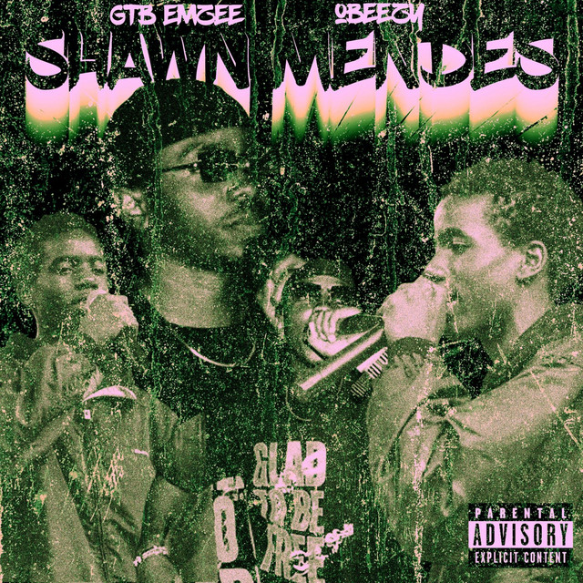 'Shawn Mendes' cover art