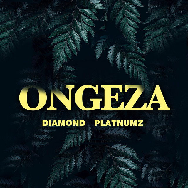 'Ongeza' cover art