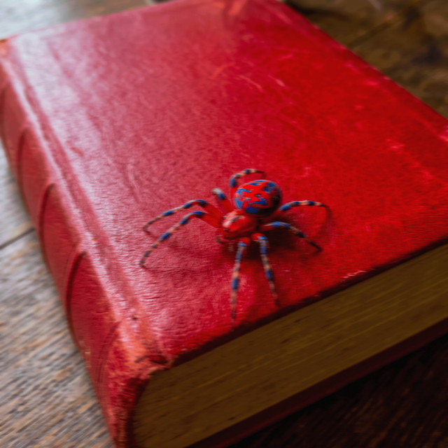 'Dear Spider' cover art
