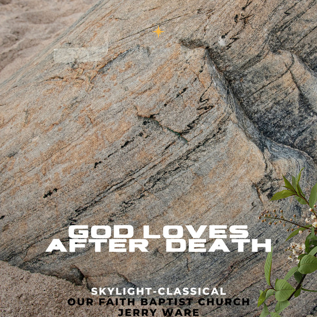 Skylight-Classical - Official Artist Photo