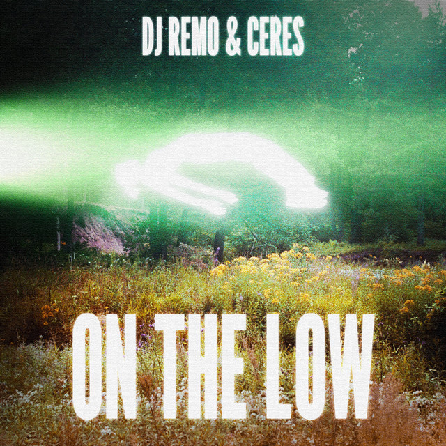 'On the Low' cover art