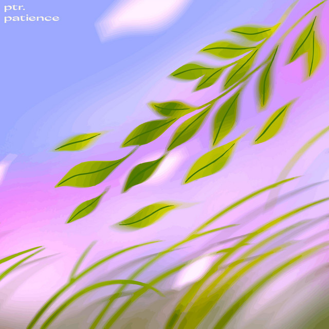 'Patience' cover art