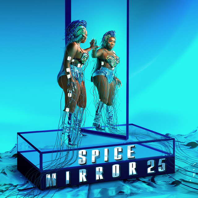 'Mirror 25' cover art