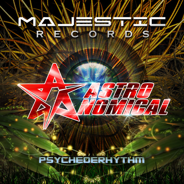 'PSYCHEDERHYTHM' cover art