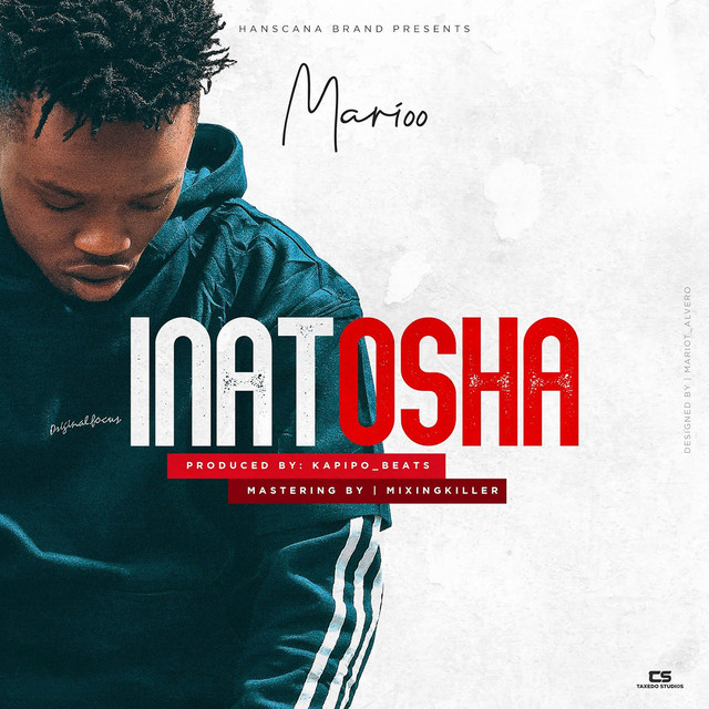 'Inatosha' cover art