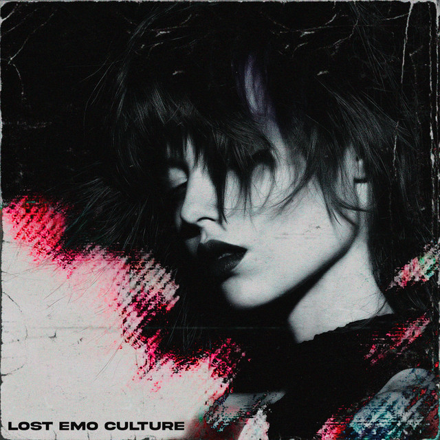 'lost emo culture' cover art