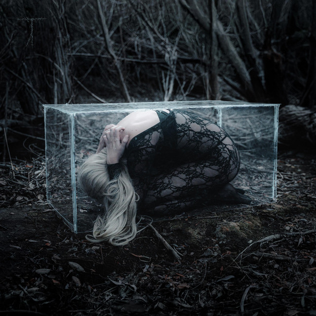 'Hide n Seek' cover art