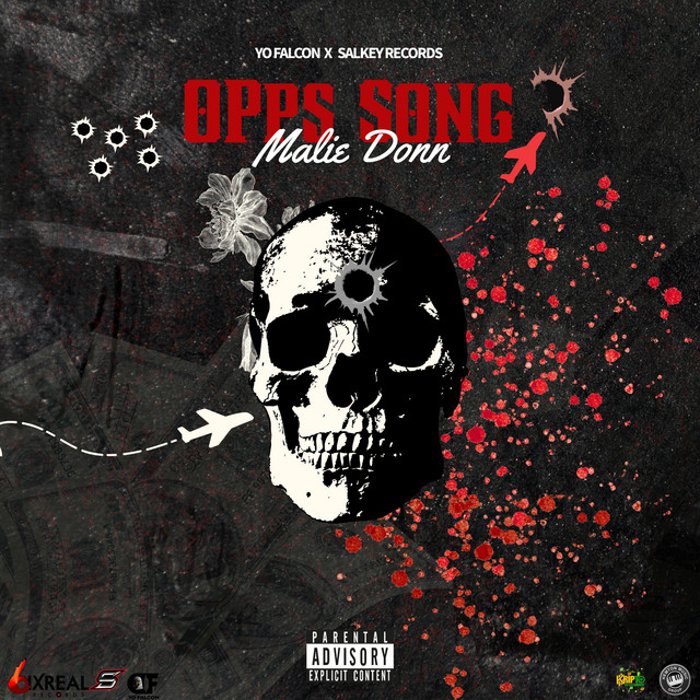 'Opps Song' cover art