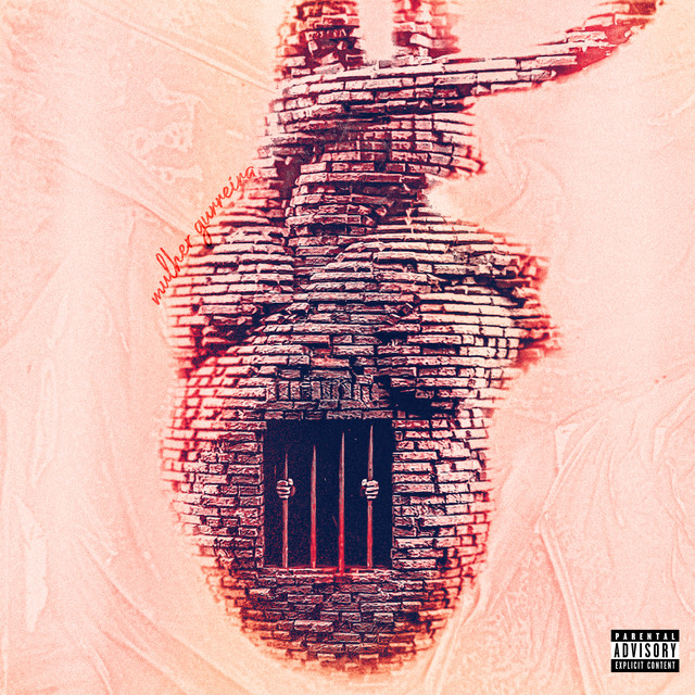 'Mulher Guerreira' cover art