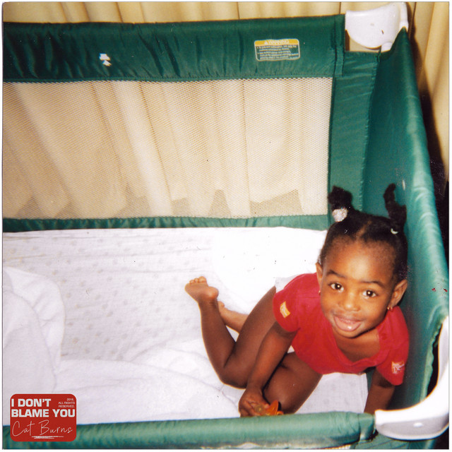 'I Don't Blame You' cover art