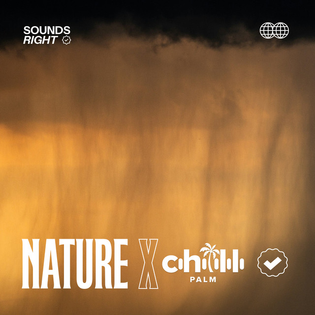 'Sleepy Rain Sounds' cover art