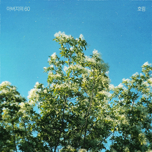 'Father' cover art