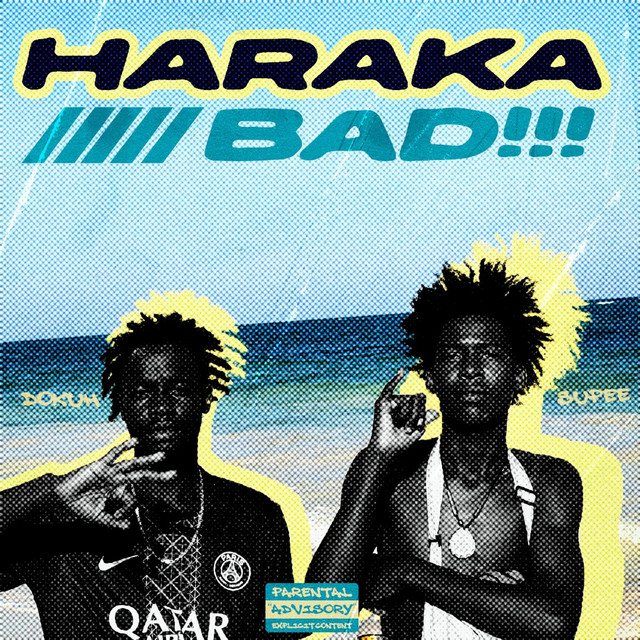 'Haraka bad' cover art