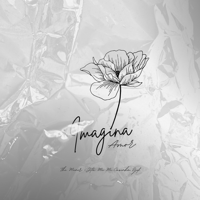 'Imagina Amor' cover art
