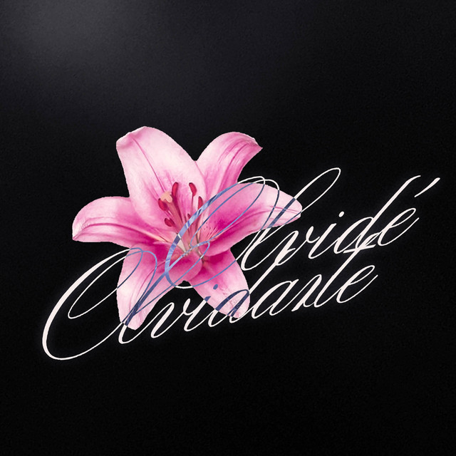 'OLVIDÉOLVIDARTE' cover art