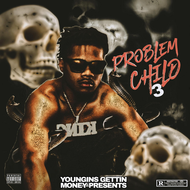 'Problem Child 3' cover art