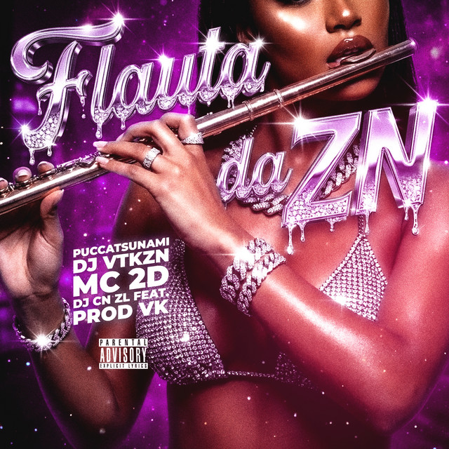 'FLAUTA DA ZN' cover art