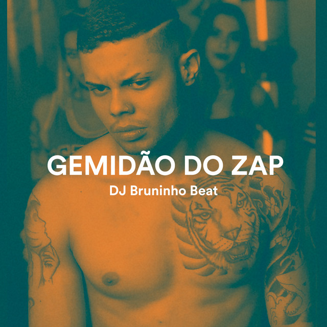 'Gemidão do Zap' cover art