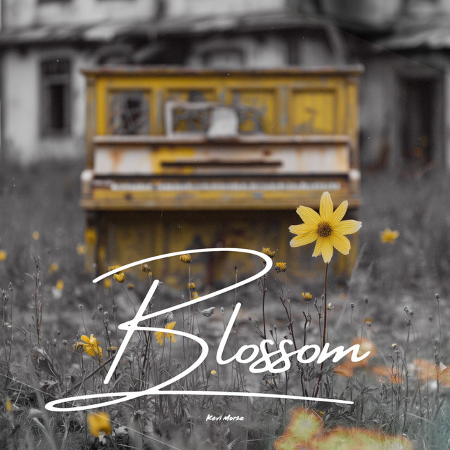 'Blossom' cover art