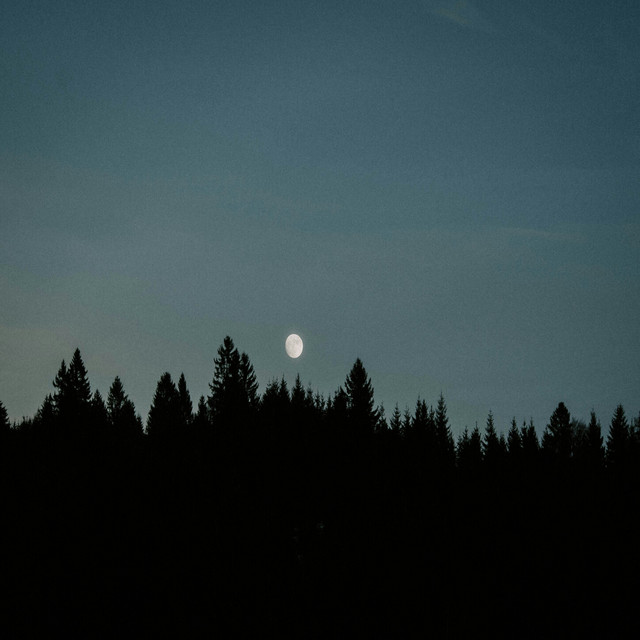 'in moonlight' cover art