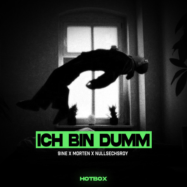 'ICH BIN DUMM' cover art