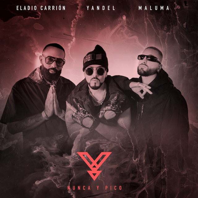 'Nunca y Pico' cover art