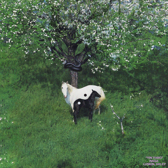 'Yin Yang' cover art