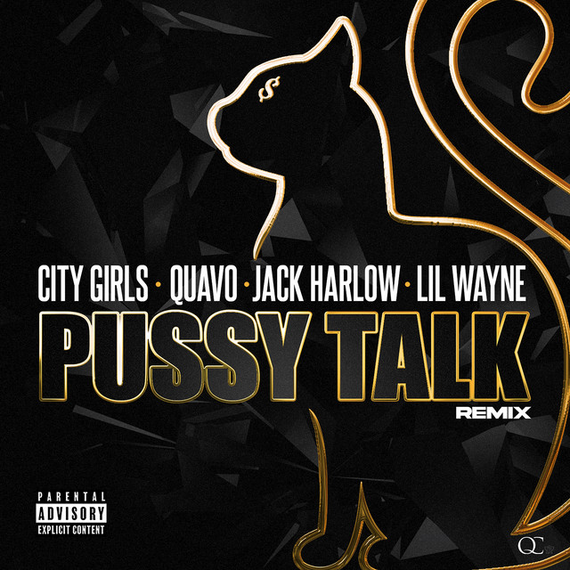 'Pussy Talk (feat. Quavo, Lil Wayne, & Jack Harlow) [Remix]' cover art