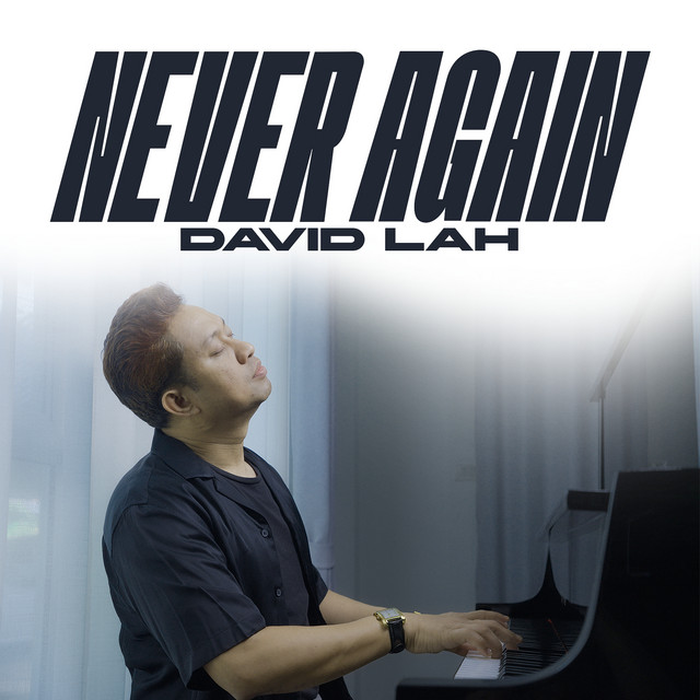 'Never Again' cover art