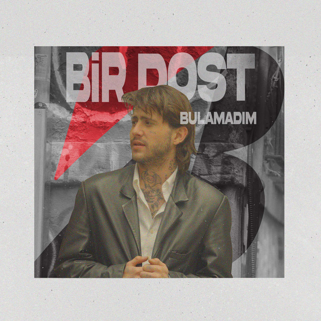 'Bir Dost Bulamadım' cover art