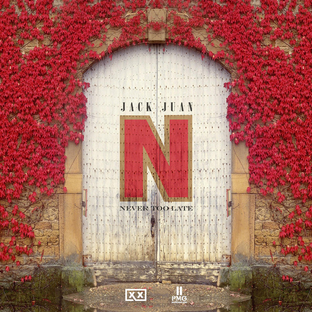 'Never Too Late (Radio Edit)' cover art