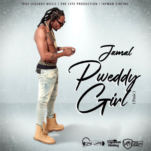 'Pweddy Girl (Panic)' cover art