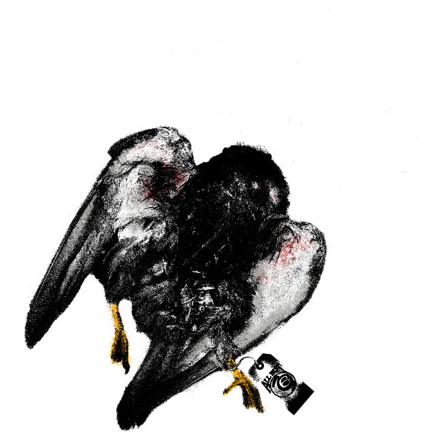'ALL BUT 6' cover art
