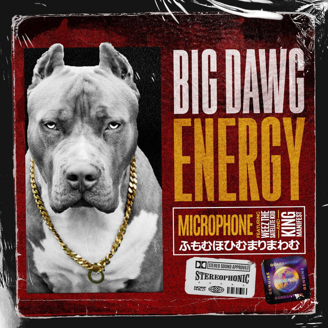 'Big Dawg Energy' cover art