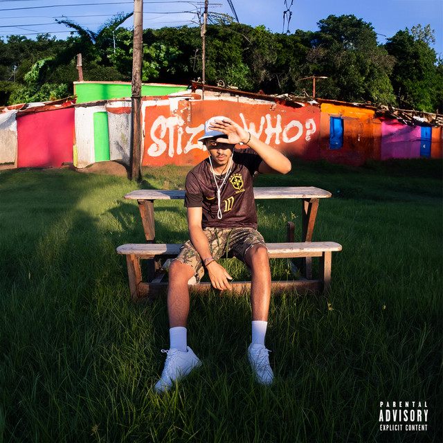 'Stizi Who?' cover art