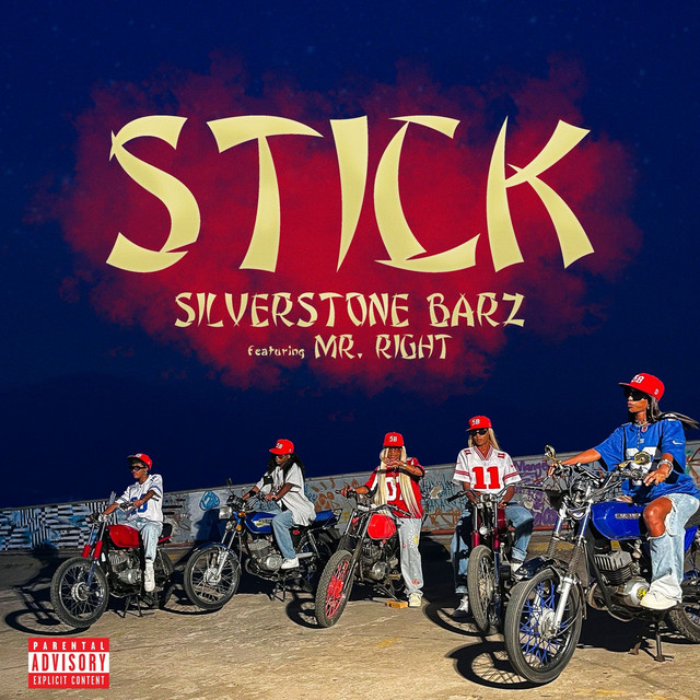 'Stick' cover art
