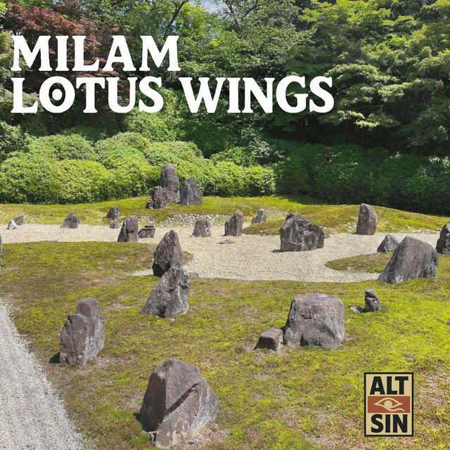 'LOTUS WINGS' cover art