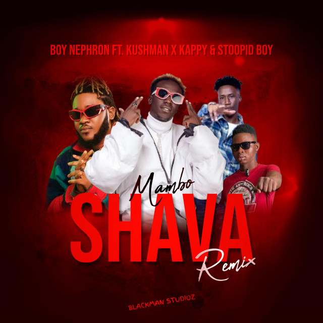 'Mambo Shava (Remix)' cover art