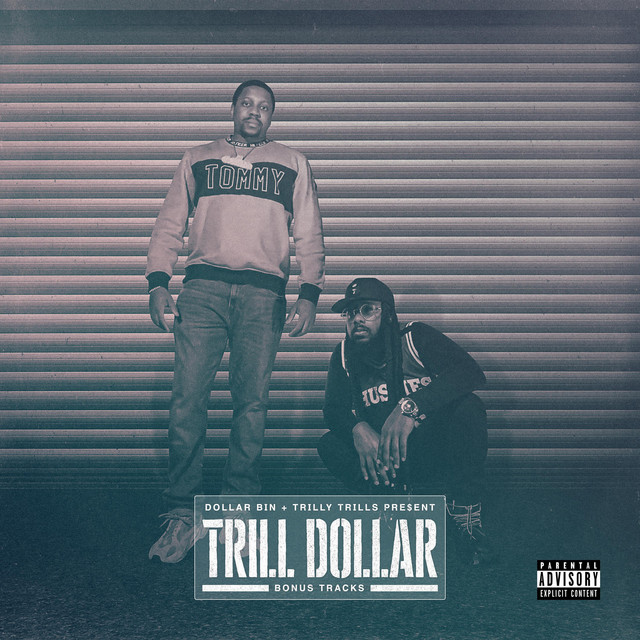 Dollar Bin - Official Artist Photo