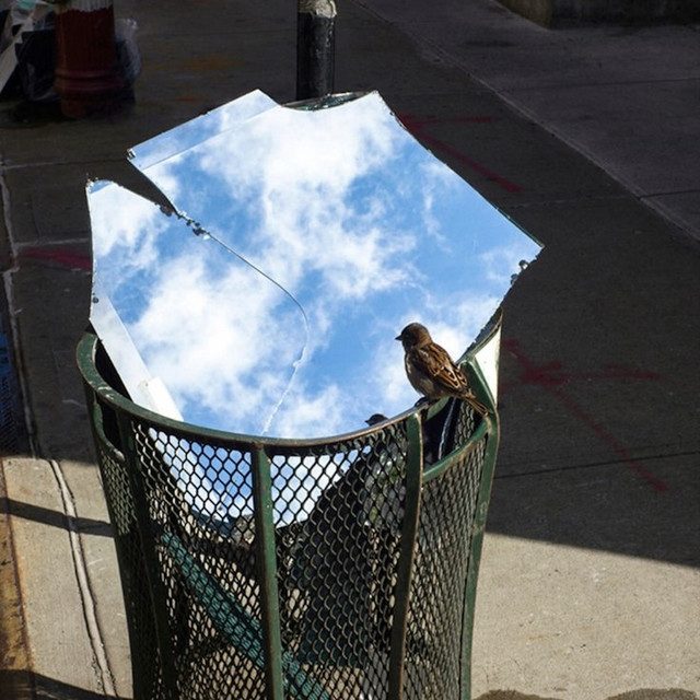 'bluebird' cover art