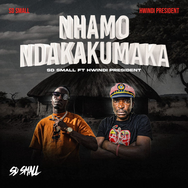 'Nhamo Ndakakumaka' cover art