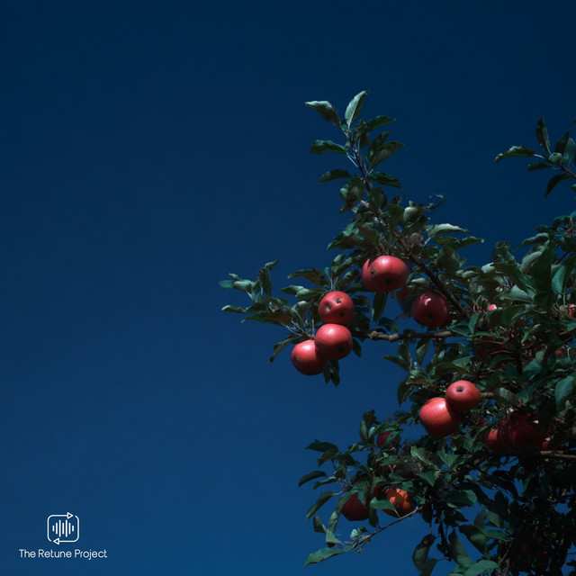 'Apple Tree' cover art