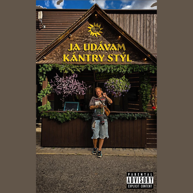 'Ja udávam kántry stýl' cover art