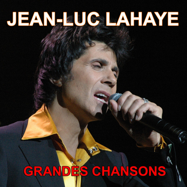 'Grandes chansons (Ses plus grands succès)' cover art