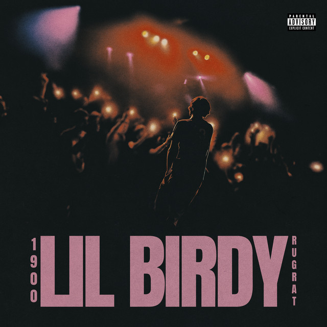 'Lil Birdy' cover art