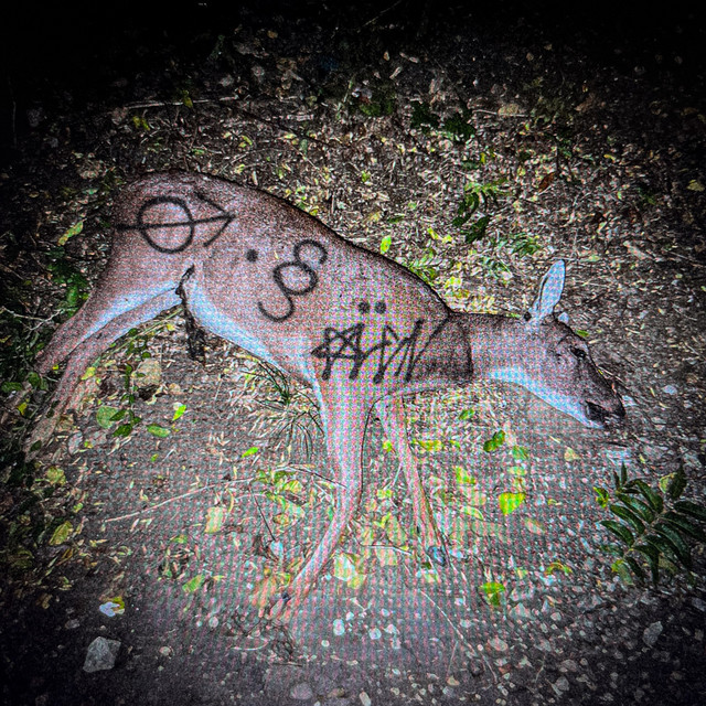 'crocodile eyes' cover art