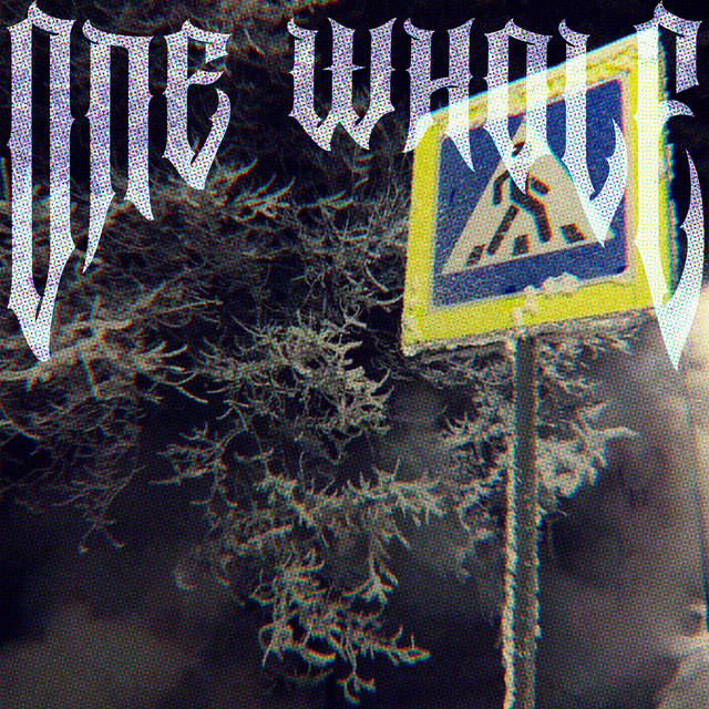 'One Whole' cover art