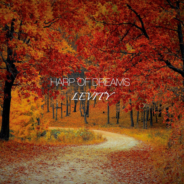 'Levity' cover art