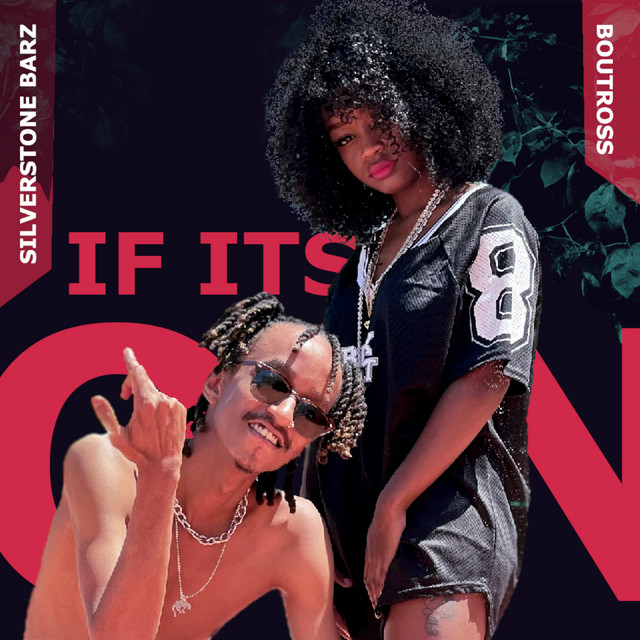 'If Its On (feat. Boutross)' cover art